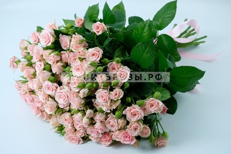 Кустовые розы Лидия купить в Москве недорого
